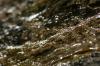 <img100*0:stuff/z/73640/Frio%2520River%2520reference.3/i1278823391_13.jpg>
