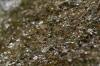 <img100*0:stuff/z/73640/Frio%2520River%2520reference.3/i1278823391_14.jpg>