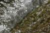 <img100*0:stuff/z/73640/Frio%2520River%2520reference.3/i1278823391_15.jpg>