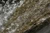 <img100*0:stuff/z/73640/Frio%2520River%2520reference.3/i1278823391_2.jpg>