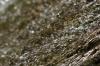 <img100*0:stuff/z/73640/Frio%2520River%2520reference.3/i1278823391_3.jpg>