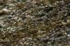 <img100*0:stuff/z/73640/Frio%2520River%2520reference.3/i1278823391_4.jpg>