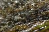 <img100*0:stuff/z/73640/Frio%2520River%2520reference.3/i1278823391_5.jpg>