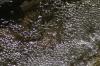 <img100*0:stuff/z/73640/Frio%2520River%2520reference.3/i1278823392_16.jpg>