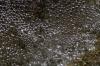 <img100*0:stuff/z/73640/Frio%2520River%2520reference.3/i1278823392_17.jpg>