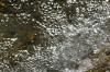<img100*0:stuff/z/73640/Frio%2520River%2520reference.3/i1278823392_19.jpg>