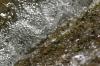<img100*0:stuff/z/73640/Frio%2520River%2520reference.3/i1278823392_20.jpg>