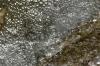 <img100*0:stuff/z/73640/Frio%2520River%2520reference.3/i1278823392_21.jpg>