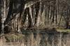 <img100*0:stuff/z/73640/Frio%2520River%2520reference.3/i1278824730_1.jpg>