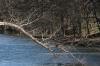 <img100*0:stuff/z/73640/Frio%2520River%2520reference.3/i1278824730_10.jpg>