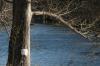<img100*0:stuff/z/73640/Frio%2520River%2520reference.3/i1278824730_12.jpg>