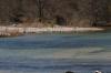 <img100*0:stuff/z/73640/Frio%2520River%2520reference.3/i1278824730_14.jpg>