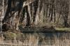 <img100*0:stuff/z/73640/Frio%2520River%2520reference.3/i1278824730_2.jpg>