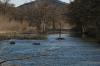 <img100*0:stuff/z/73640/Frio%2520River%2520reference.3/i1278824730_3.jpg>