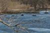 <img100*0:stuff/z/73640/Frio%2520River%2520reference.3/i1278824730_5.jpg>