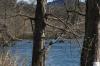<img100*0:stuff/z/73640/Frio%2520River%2520reference.3/i1278824730_6.jpg>