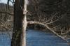 <img100*0:stuff/z/73640/Frio%2520River%2520reference.3/i1278824730_8.jpg>