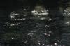 <img100*0:stuff/z/73640/Frio%2520River%2520reference.3/i1278824730_9.jpg>