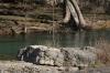 <img100*0:stuff/z/73640/Frio%2520River%2520reference.3/i1278826490_5.jpg>