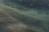 <img100*0:stuff/z/73640/Frio%2520River%2520reference.3/i1278826490_6.jpg>