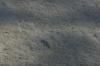 <img100*0:stuff/z/73640/Frio%2520River%2520reference.3/i1278826490_9.jpg>