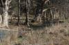 <img100*0:stuff/z/73640/Frio%2520River%2520reference.3/i1278826491_11.jpg>