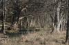 <img100*0:stuff/z/73640/Frio%2520River%2520reference.3/i1278826491_14.jpg>