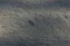 <img100*0:stuff/z/73640/Frio%2520River%2520reference.3/i1278826491_15.jpg>