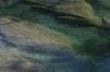 <img100*0:stuff/z/73640/Frio%2520River%2520reference.3/i1278826491_17.jpg>