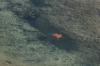 <img100*0:stuff/z/73640/Frio%2520River%2520reference.3/i1278826491_18.jpg>