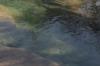 <img100*0:stuff/z/73640/Frio%2520River%2520reference.3/i1278826491_20.jpg>