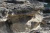 <img100*0:stuff/z/73640/Frio%2520River%2520reference.3/i1278826491_24.jpg>