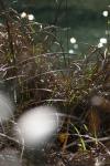 <img100*0:stuff/z/73640/Frio%2520River%2520reference.3/i1278827348_1.jpg>