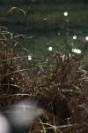 <img100*0:stuff/z/73640/Frio%2520River%2520reference.3/i1278827349_2.jpg>