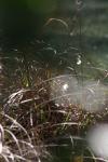 <img100*0:stuff/z/73640/Frio%2520River%2520reference.3/i1278827352_6.jpg>
