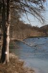 <img100*0:stuff/z/73640/Frio%2520River%2520reference.3/i1278827355_10.jpg>
