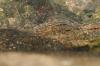 <img100*0:stuff/z/73640/Frio%2520River%2520reference/i1257807983_1.jpg>