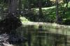 <img100*0:stuff/z/73640/Frio%2520River%2520reference/i1257807983_11.jpg>