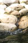 <img100*0:stuff/z/73640/Frio%2520River%2520reference/i1257807983_13.jpg>