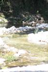 <img100*0:stuff/z/73640/Frio%2520River%2520reference/i1257807983_16.jpg>