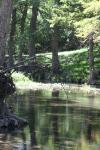 <img100*0:stuff/z/73640/Frio%2520River%2520reference/i1257807983_17.jpg>