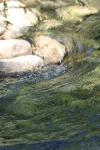 <img100*0:stuff/z/73640/Frio%2520River%2520reference/i1257807983_18.jpg>
