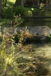 <img100*0:stuff/z/73640/Frio%2520River%2520reference/i1257807983_3.jpg>