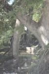 <img100*0:stuff/z/73640/Frio%2520River%2520reference/i1257807983_4.jpg>