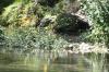 <img100*0:stuff/z/73640/Frio%2520River%2520reference/i1257807983_6.jpg>