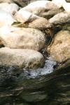 <img100*0:stuff/z/73640/Frio%2520River%2520reference/i1257807983_7.jpg>