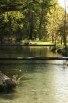 <img100*0:stuff/z/73640/Frio%2520River%2520reference/i1257807983_8.jpg>