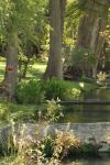 <img100*0:stuff/z/73640/Frio%2520River%2520reference/i1257807984_20.jpg>