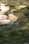 <img100*0:stuff/z/73640/Frio%2520River%2520reference/i1257807984_24.jpg>