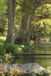 <img100*0:stuff/z/73640/Frio%2520River%2520reference/i1257807984_26.jpg>